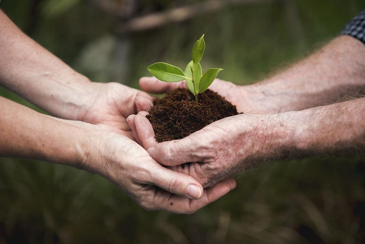 La Sostenibilidad con el medio ambiente con la revolución industrial minera